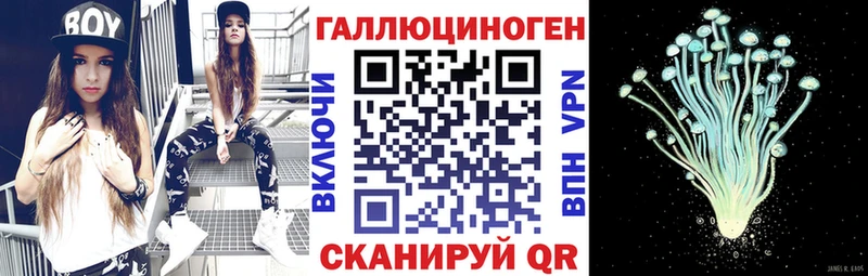 закладки  Чухлома  Галлюциногенные грибы GOLDEN TEACHER 